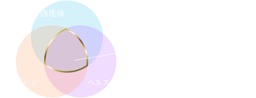ハイブリッド説明図