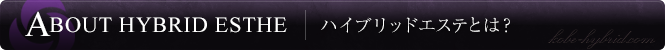 ハイブリッドエステとは？