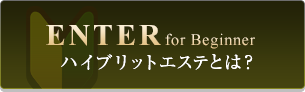ハイブリットエステとは
