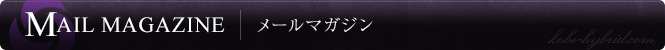 メールマガジン