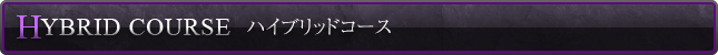 ハイブリッドコース