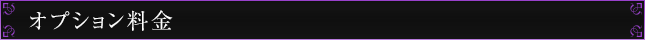 オプション料金