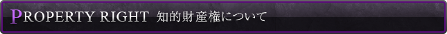 知的財産権について